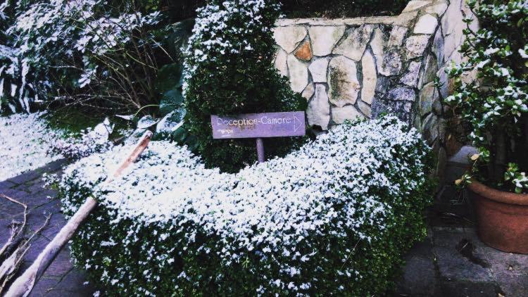 Agriturismo Terre Delle Monache Pontecagnano Zewnętrze zdjęcie