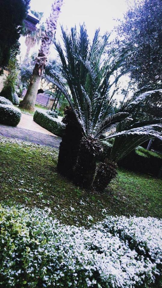 Agriturismo Terre Delle Monache Pontecagnano Zewnętrze zdjęcie